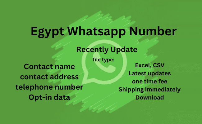 埃及 WhatsApp 号码