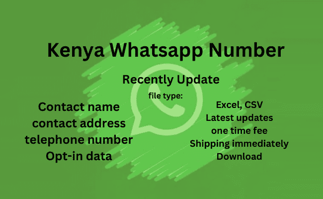 肯尼亚 WhatsApp 号码