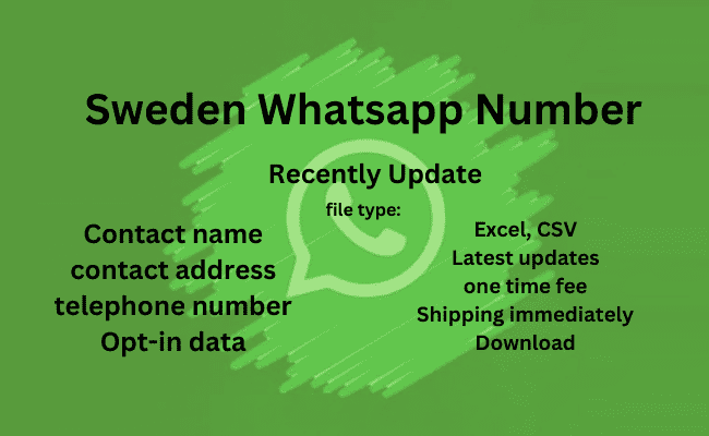 瑞典 WhatsApp 号码