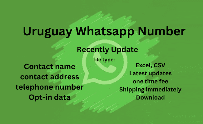 乌拉圭 WhatsApp 号码