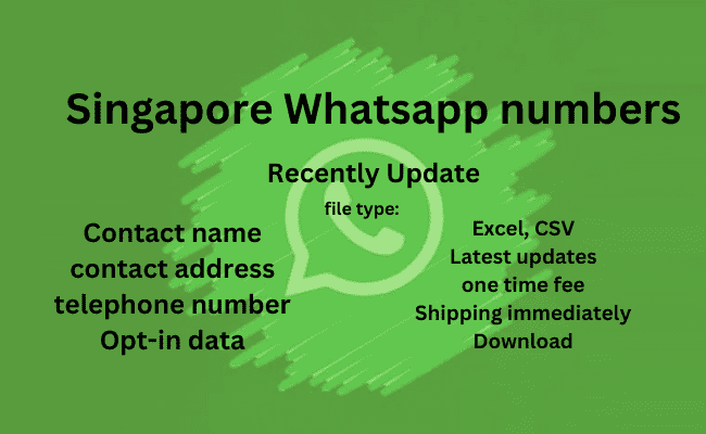 新加坡 WhatsApp 号码